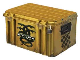 Operation Hydra Case