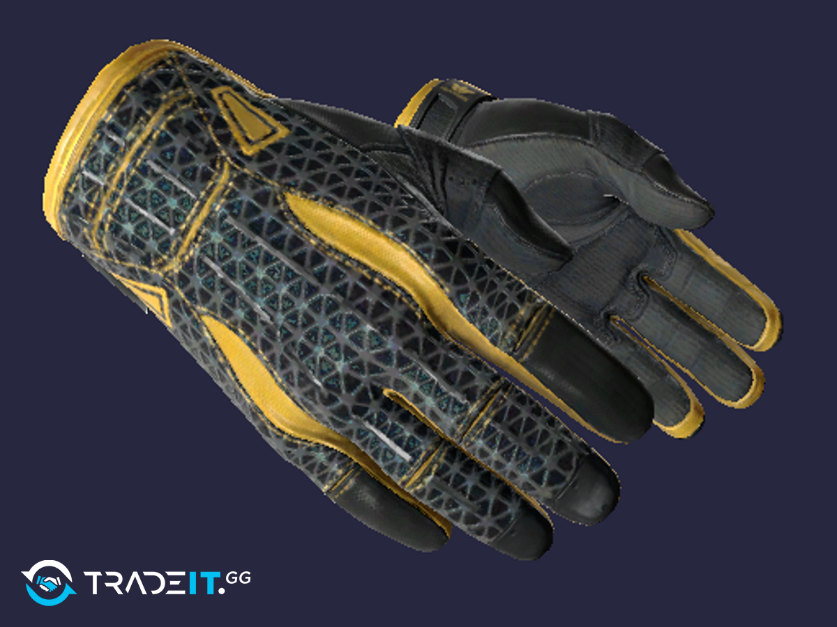 Sport Gloves Omega