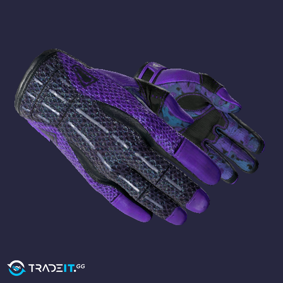 Sport Gloves Pandora's Box + AWP Atheris